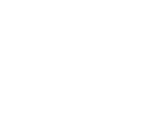 C60 Evo logo white