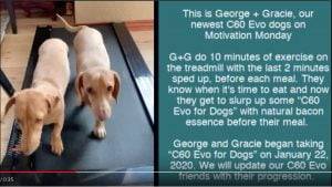 George + Gracie C60 Evo Dogs: Motivation Monday