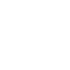 C60 Evo logo