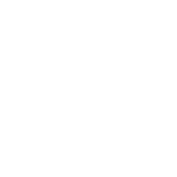C60 Evo Logo